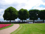 2009-07-06_14-08-14_IMGP7932.jpg