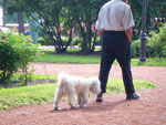 2009-07-06_16-22-15_IMGP8060.jpg