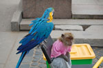 2009-07-07_15-54-52_DSC_3950.jpg