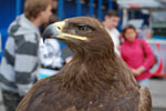 2009-07-07_16-06-45_DSC_3982.jpg