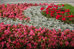 2009-07-07_18-23-25_DSC_4172.jpg