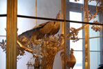 2009-07-09_12-58-05_DSC_4592.jpg