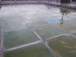 2009-07-10_17-18-30_IMGP8259.jpg