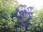 2009-07-10_17-50-41_IMGP8279.jpg