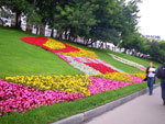 2009-07-10_17-53-14_IMGP8281.jpg