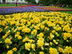 2009-07-10_18-03-27_IMGP8294.jpg