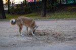 2009-07-11_22-37-39_DSC_4898.jpg