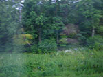 2009-07-12_19-57-42_IMGP8488.jpg