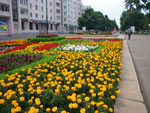 2009-07-14_16-02-28_IMGP8519.jpg