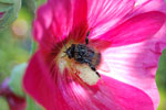 2009-07-17_18-10-28_DSC_5010.jpg