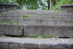 2009-07-19_18-50-57_DSC_5231.jpg