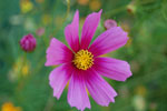 2009-07-19_19-58-40_DSC_5383.jpg