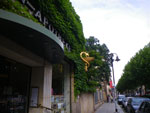 2009-07-22_17-13-29_IMGP8916.jpg
