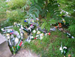 2009-07-23_12-25-25_IMGP8933.jpg
