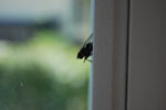 2009-07-27_13-13-35_DSC_5837.jpg