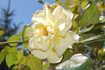 2009-07-27_13-15-31_DSC_5850.jpg