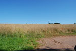 2009-07-27_16-08-49_DSC_5855.jpg