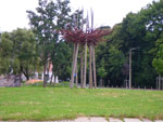 Photos