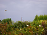 2009-08-02_19-18-55_IMGP9134.jpg