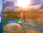 2009-08-02_19-38-55_IMGP9137.jpg