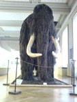 2009-08-11_17-46-33_DSC00081.jpg