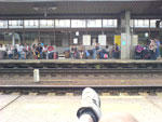 2009-08-12_11-15-08_DSC00095.jpg