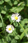 2009-08-15_18-03-47_DSC_6432.jpg