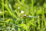2009-08-15_18-06-33_DSC_6447.jpg