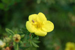 2009-08-15_18-09-00_DSC_6452.jpg
