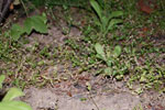2009-08-15_20-28-16_DSC_6513.jpg