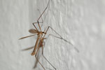 2009-08-16_23-04-42_DSC_6566.jpg