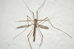 2009-08-16_23-05-12_DSC_6568.jpg