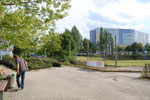 2009-08-17_17-13-15_DSC_6575.jpg