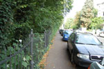 2009-08-18_09-17-20_DSC_6644.jpg