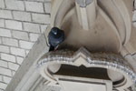 2009-08-20_13-07-05_DSC_6868.jpg