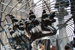 2009-08-20_13-08-49_DSC_6876.jpg
