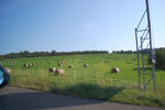 2009-08-20_17-21-40_DSC_6977.jpg