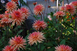 2009-08-23_18-41-37_DSC_7018.jpg