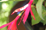 2009-08-24_18-27-21_DSC_7058.jpg