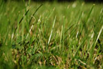 2009-08-24_18-29-47_DSC_7063.jpg