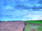 Photos
