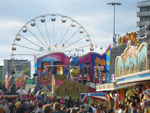 Photos