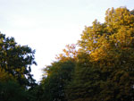 2009-08-31_19-13-44_IMGP9462.jpg