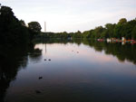 2009-08-31_20-05-12_IMGP9486.jpg