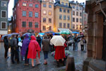 2009-09-03_19-35-58_DSC_7137.jpg
