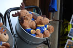2009-09-04_15-17-01_DSC_7166.jpg