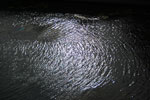 2009-09-04_15-28-56_DSC_7179.jpg