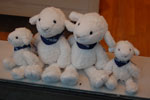 2009-09-04_17-20-42_DSC_7269.jpg