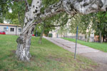 2009-09-04_18-29-32_DSC_7359.jpg