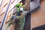 2009-09-05_15-51-57_DSC_7384.jpg